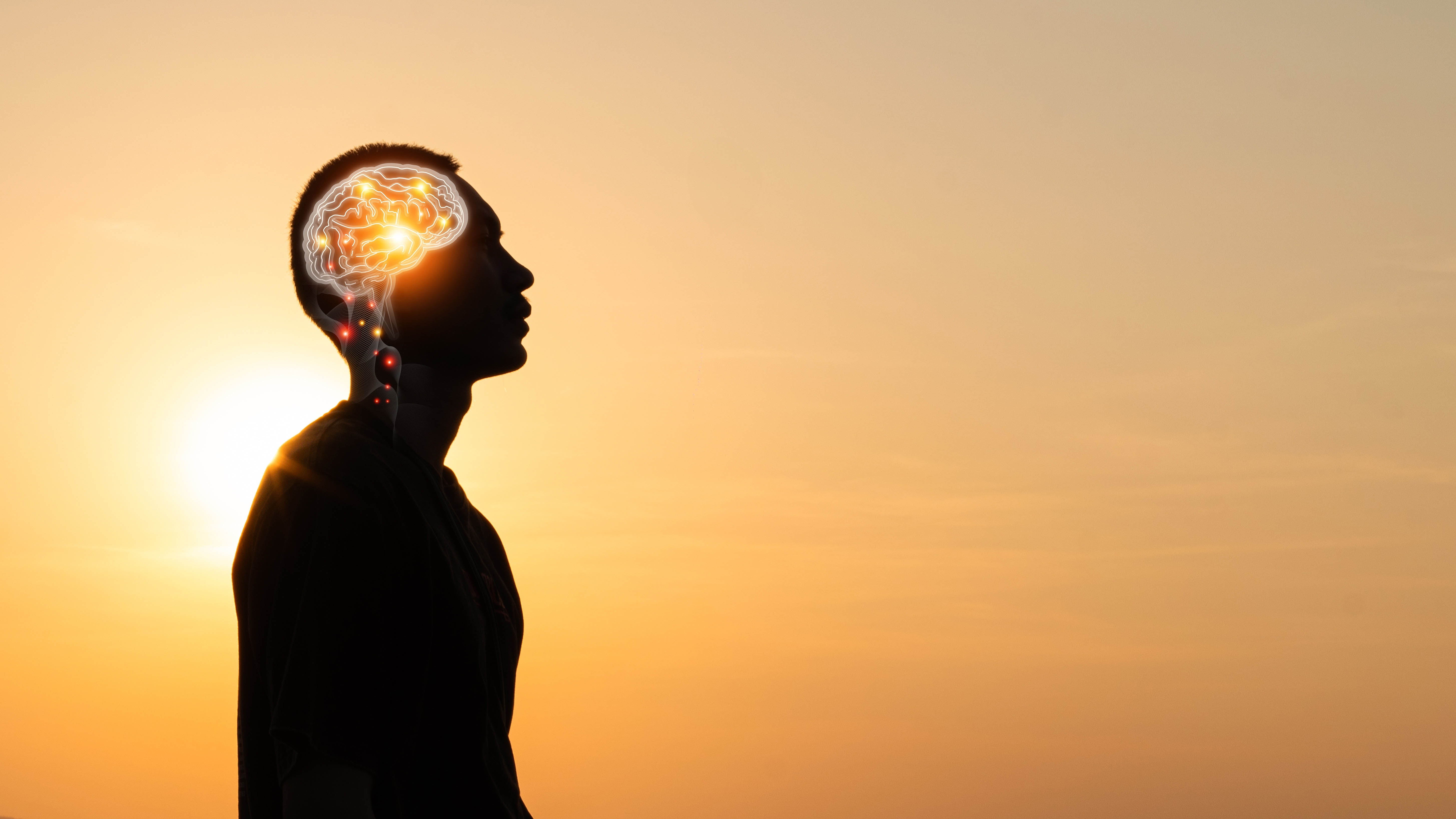 Silhouette of a man in front of a sunny background with a cross-section of his brain that has little lights in it